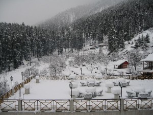 Manali-Snow Fall