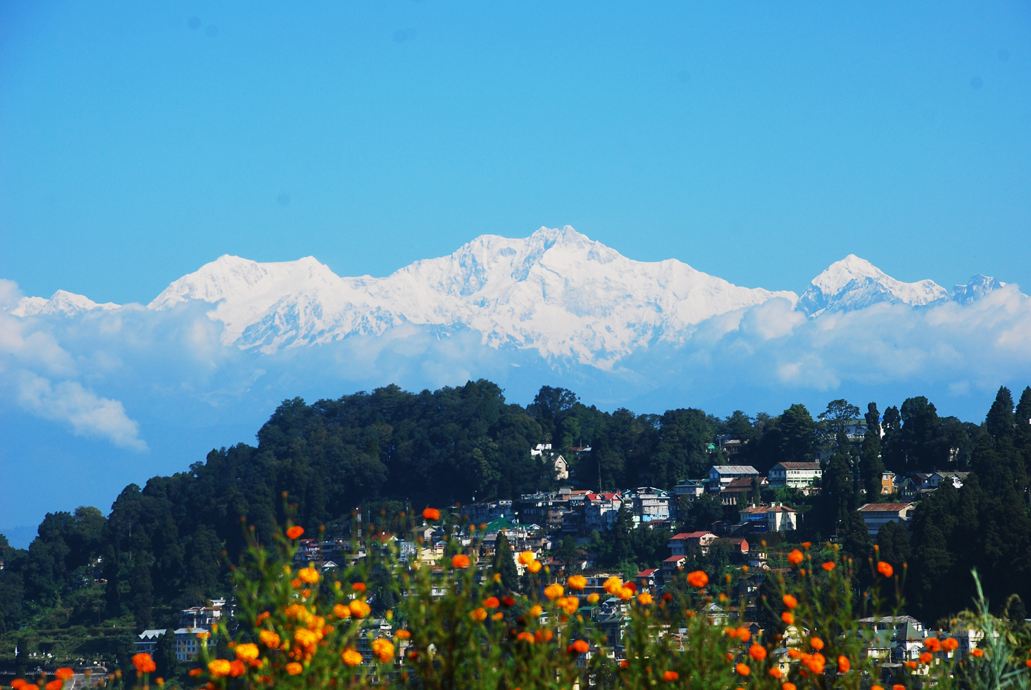 Sikkim Darjeeling Indore Honeymoon Ltc Gangtok Lachung